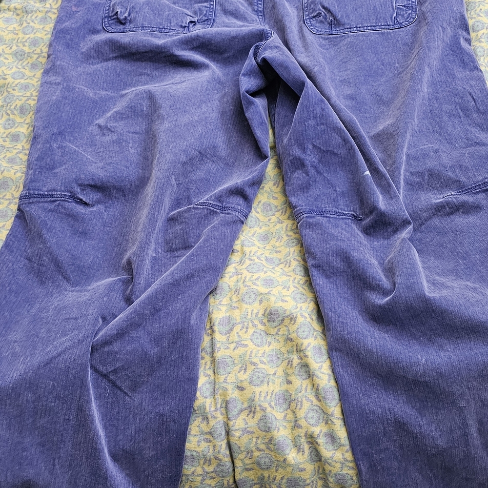 We The Free Blue Cargo Pants - Picture 5 of 8